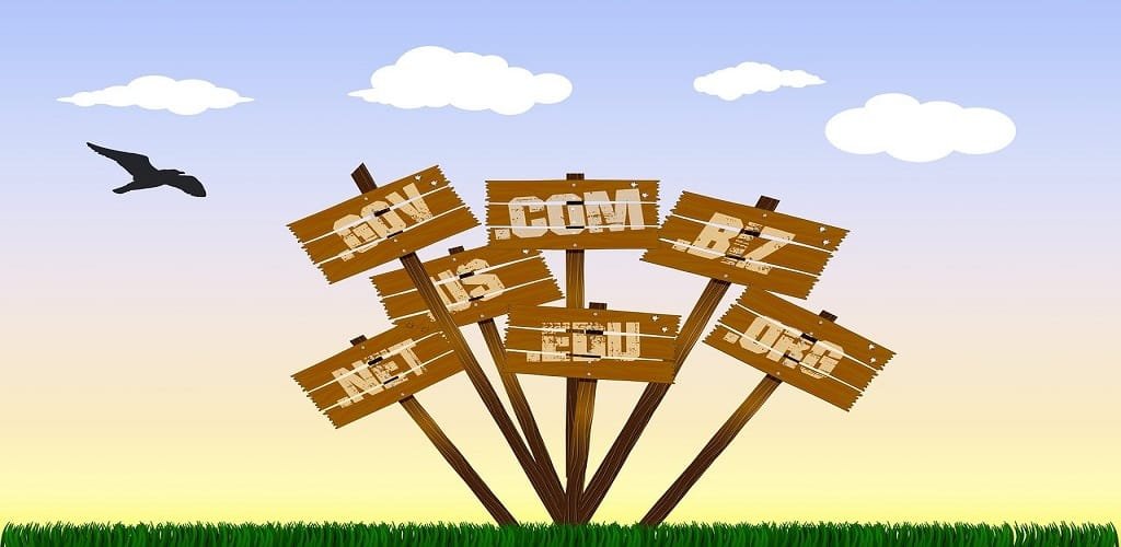 fungsi domain dan hosting