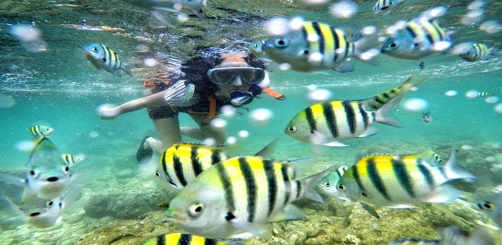 Snorkeling di jogja