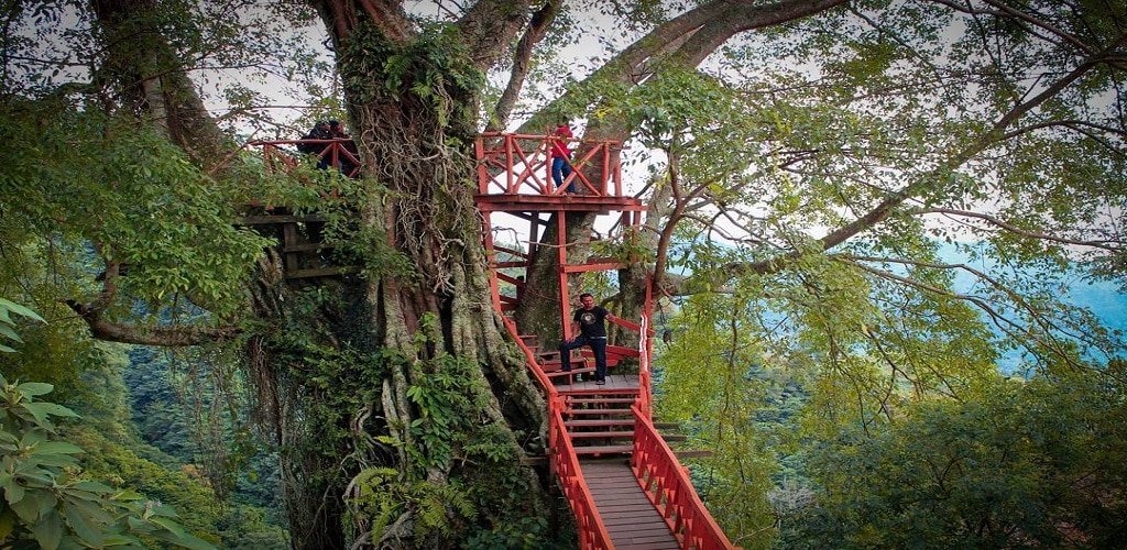 Rumah Pohon Curug Ciherang