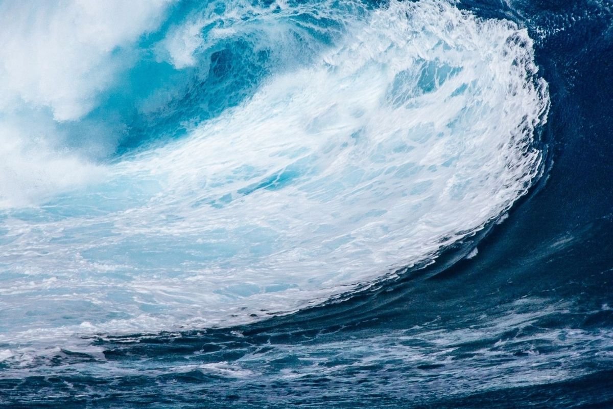 Peneliti Temukan Bukti Tsunami Purba di Amber Pepohonan Jepang dari Zaman Dinosaurus