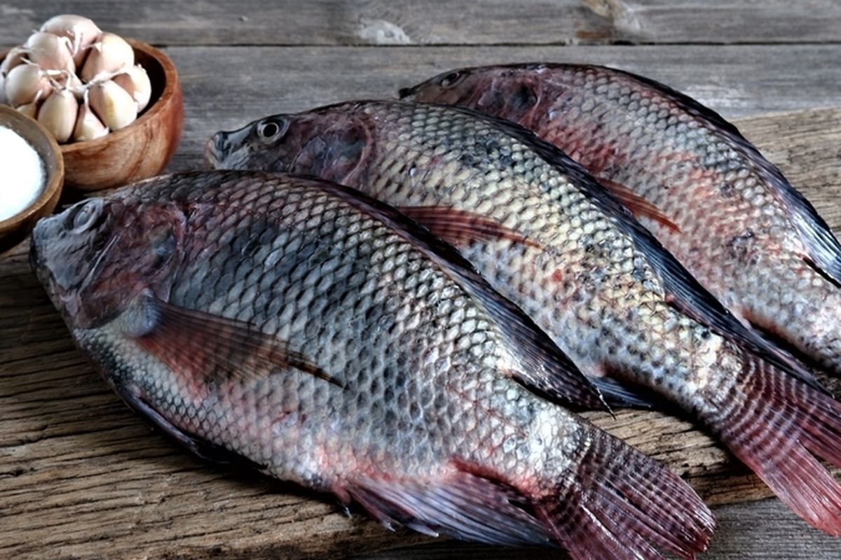 Cara Mudah Membersihkan Sisik Ikan yang Keras