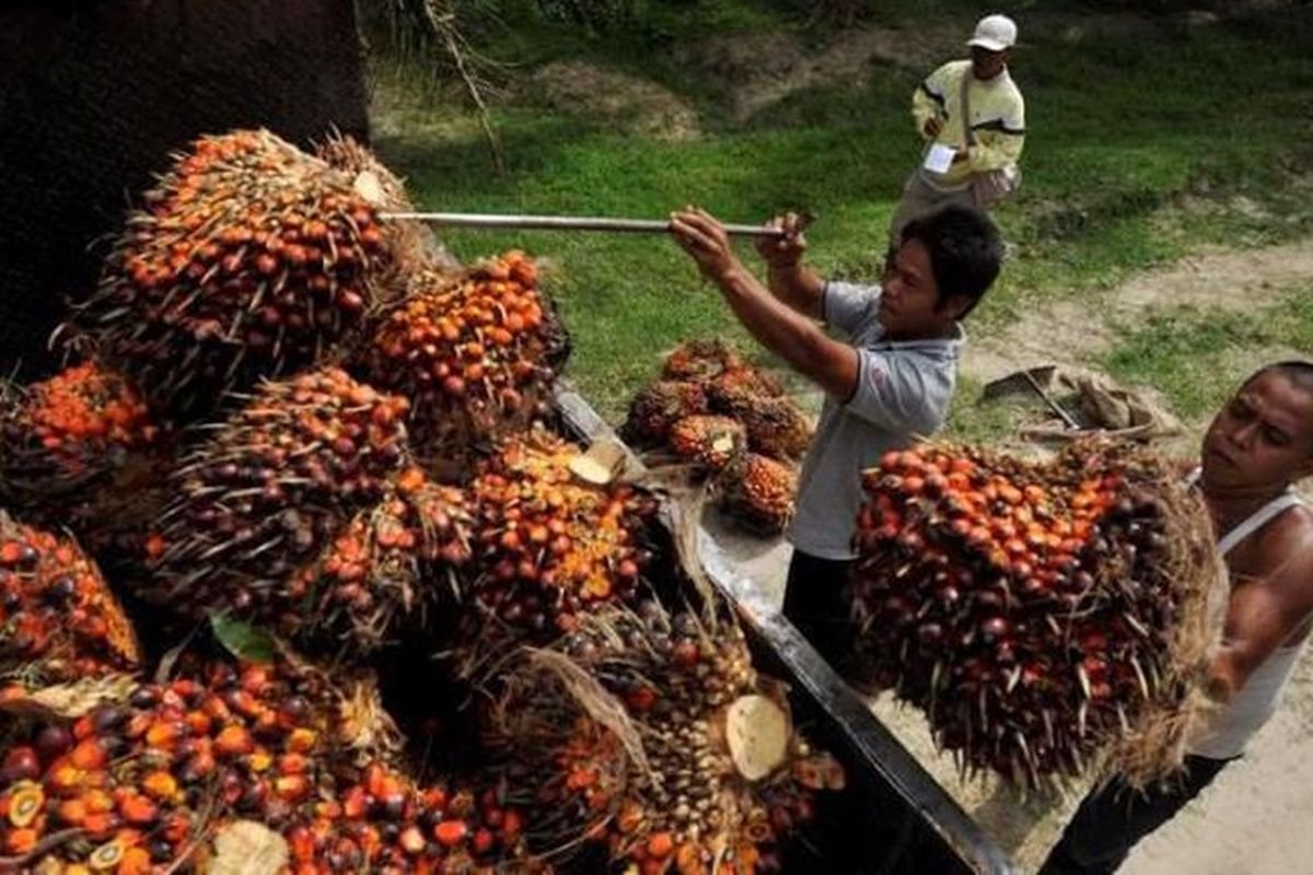 Ada Perang India-Pakistan