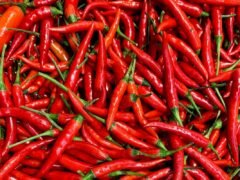 Harga Pangan Saat Libur Idul Adha