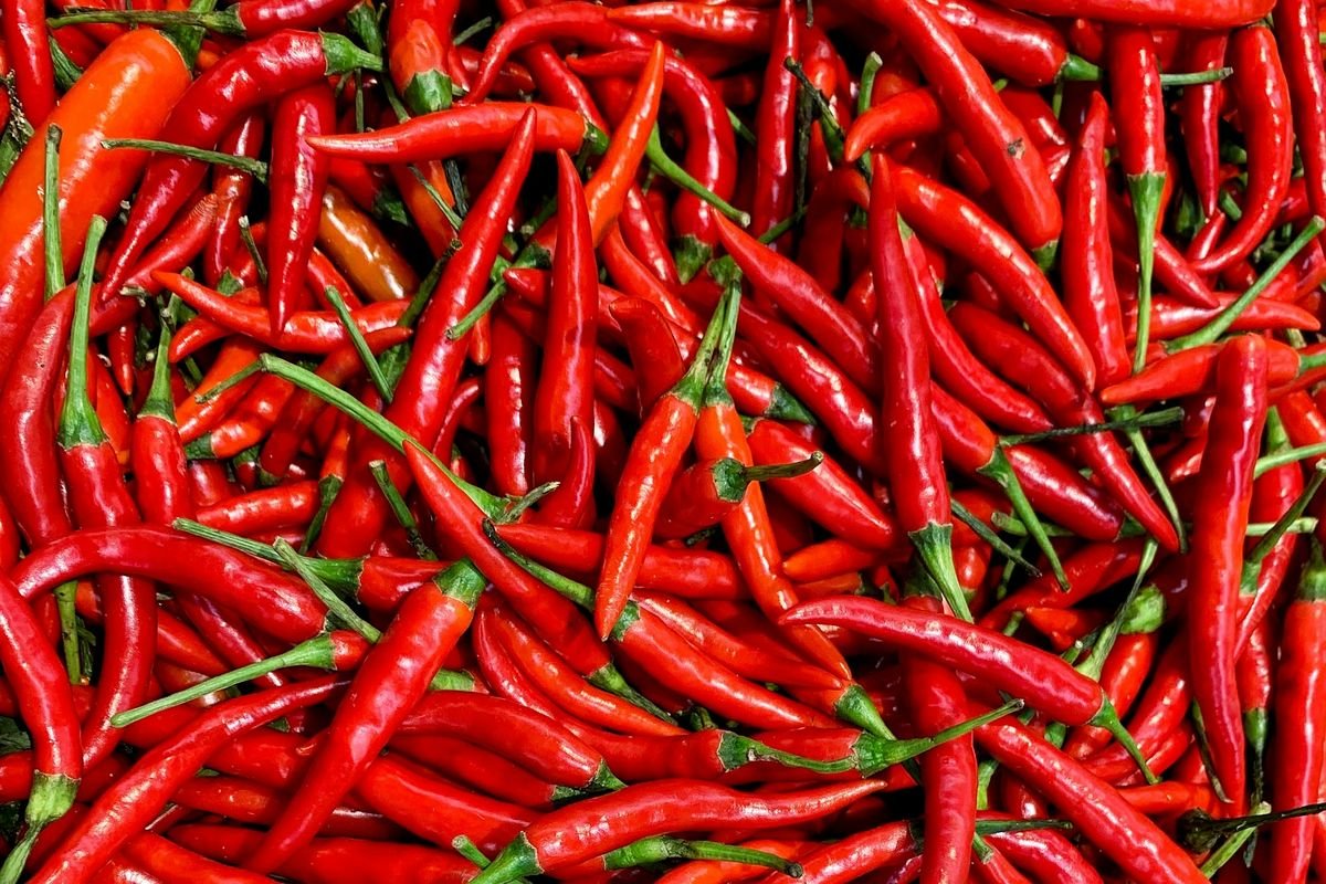 Harga Pangan Saat Libur Idul Adha