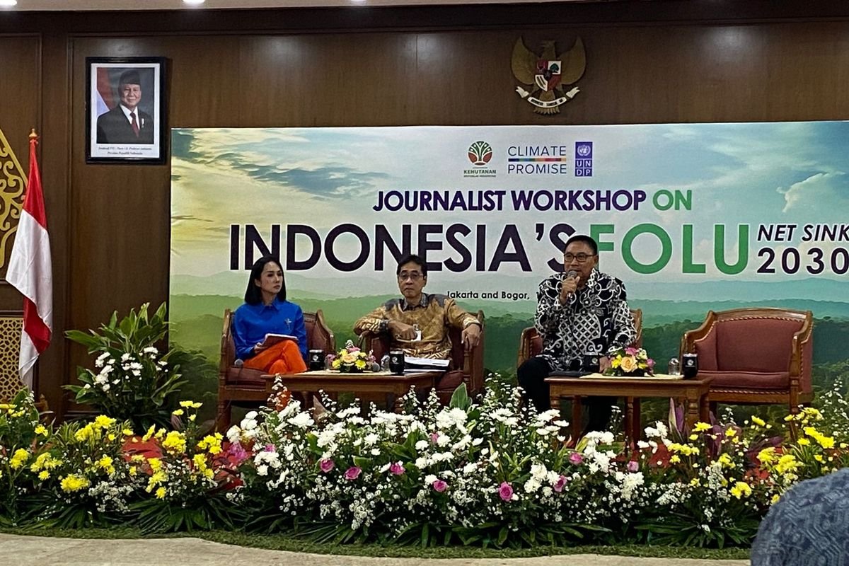 RI Perlu Dana Rp 400 Triliun untuk Proyek FOLU Net Sink