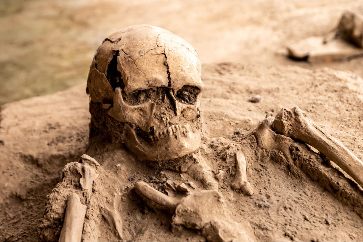 Kehidupan Homo erectus Terungkap dari Dasar Selat Madura