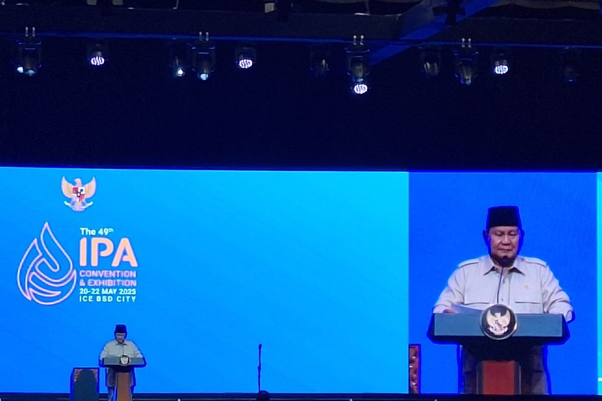 Buka IPA Convex 2025