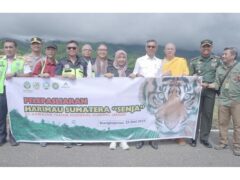Agincourt Resources Fasilitasi Helikopter untuk Bantu Pelepasliaran Harimau Sumatera di TNGL