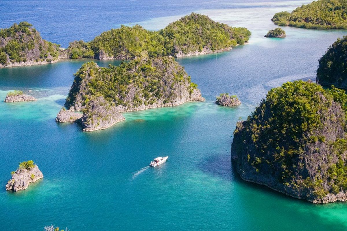 Tambang Nikel Raja Ampat: Ironi Narasi Transisi Energi Hijau