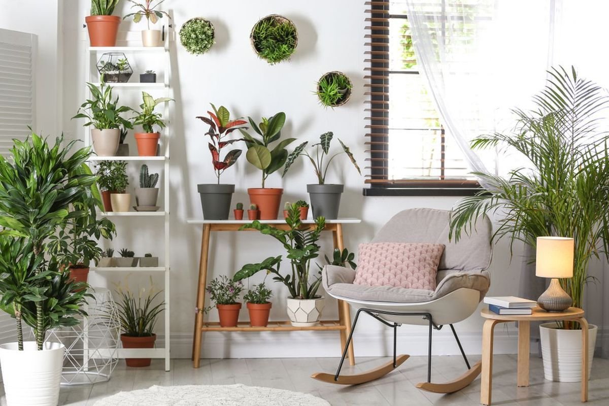 6 Hal yang Dilarang Feng Shui saat Mendekorasi dengan Tanaman Hias