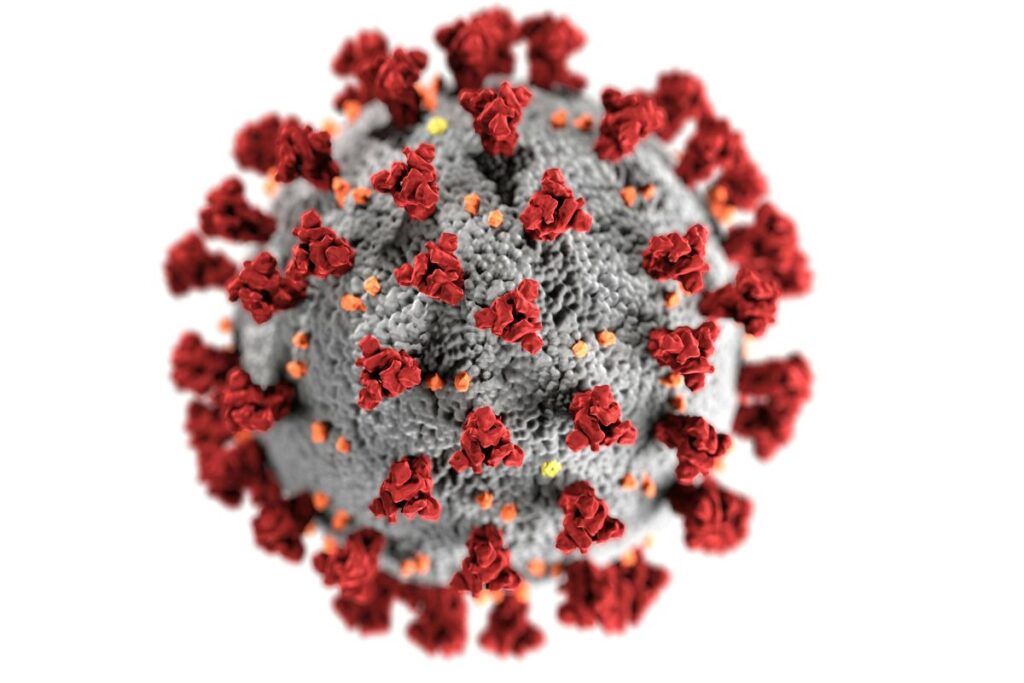 Virus HKU5 Mirip Corona Ditemukan di China