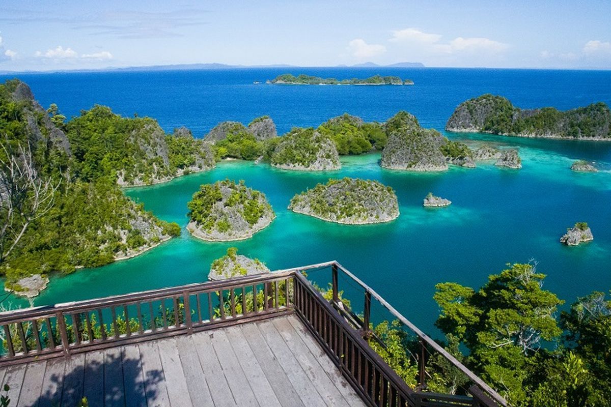 Polemik Tambang Nikel di Raja Ampat