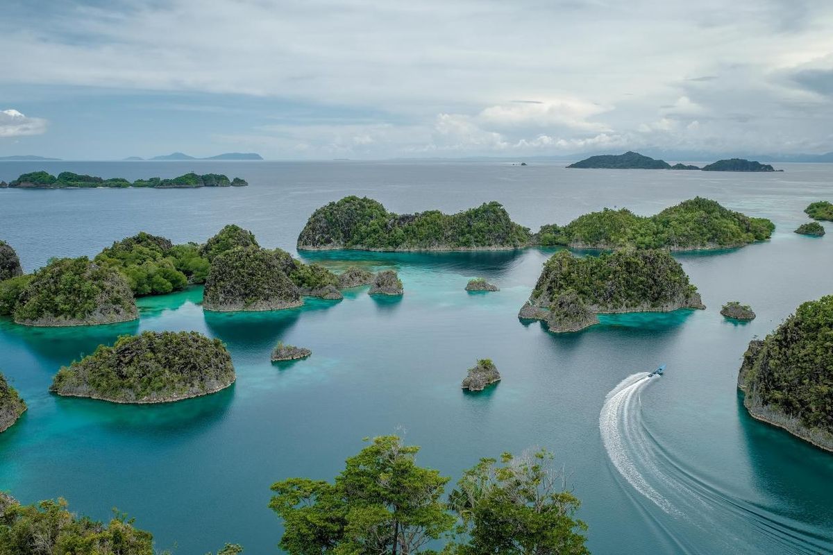 Profil Lengkap 4 Pemilik Tambang Nikel di Raja Ampat