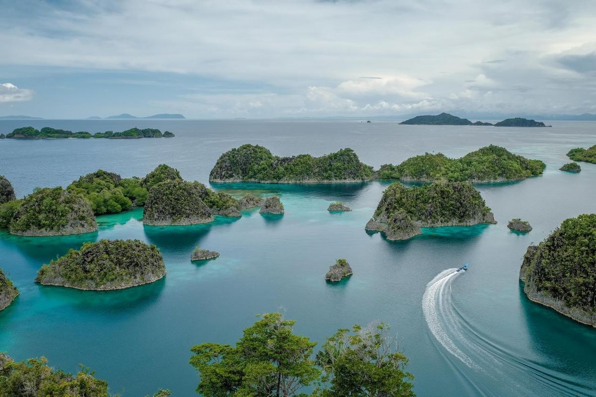 CEK FAKTA: Gubernur Papua Barat Daya Sebut Tidak Ada Kerusakan Lingkungan di Pulau Gag