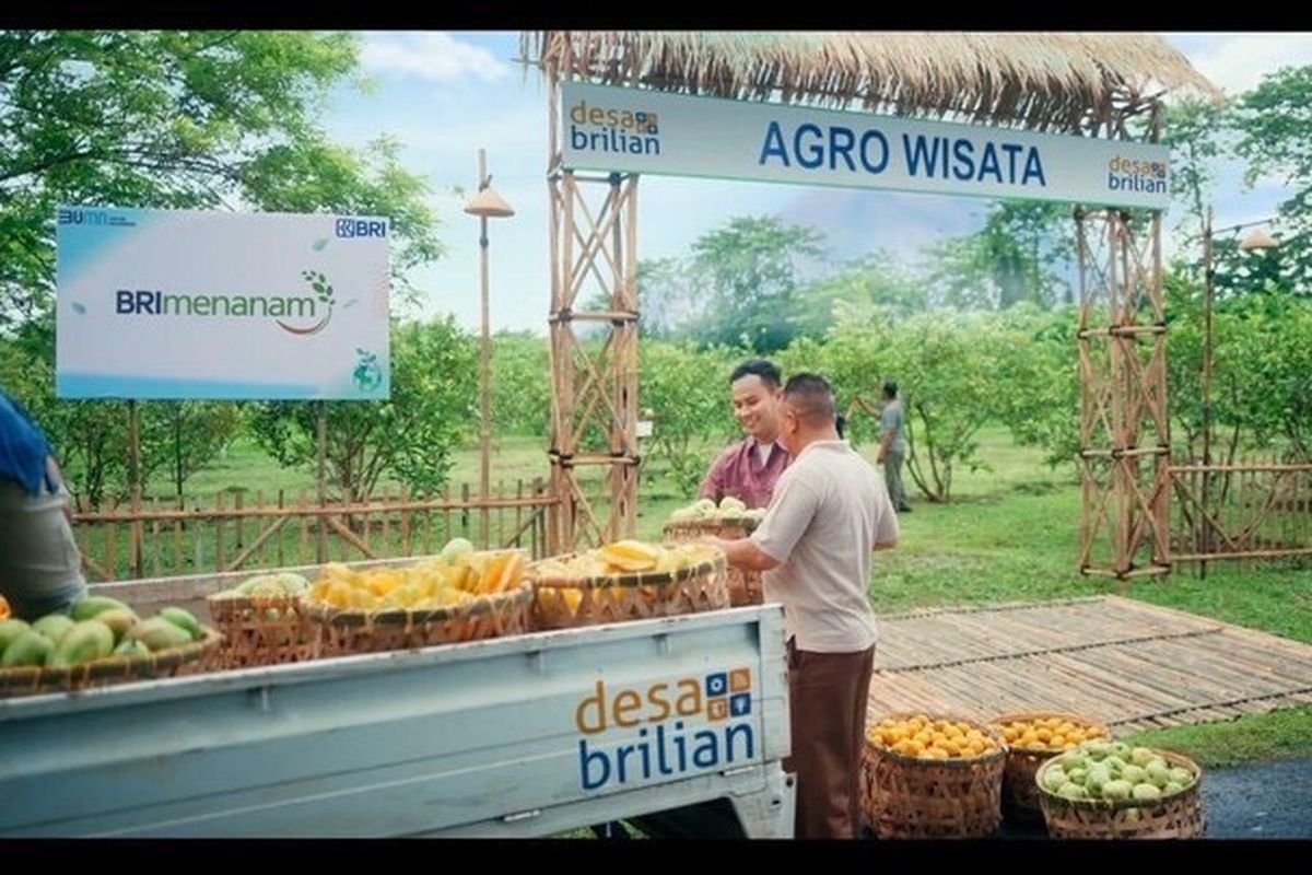 Desa BRILiaN