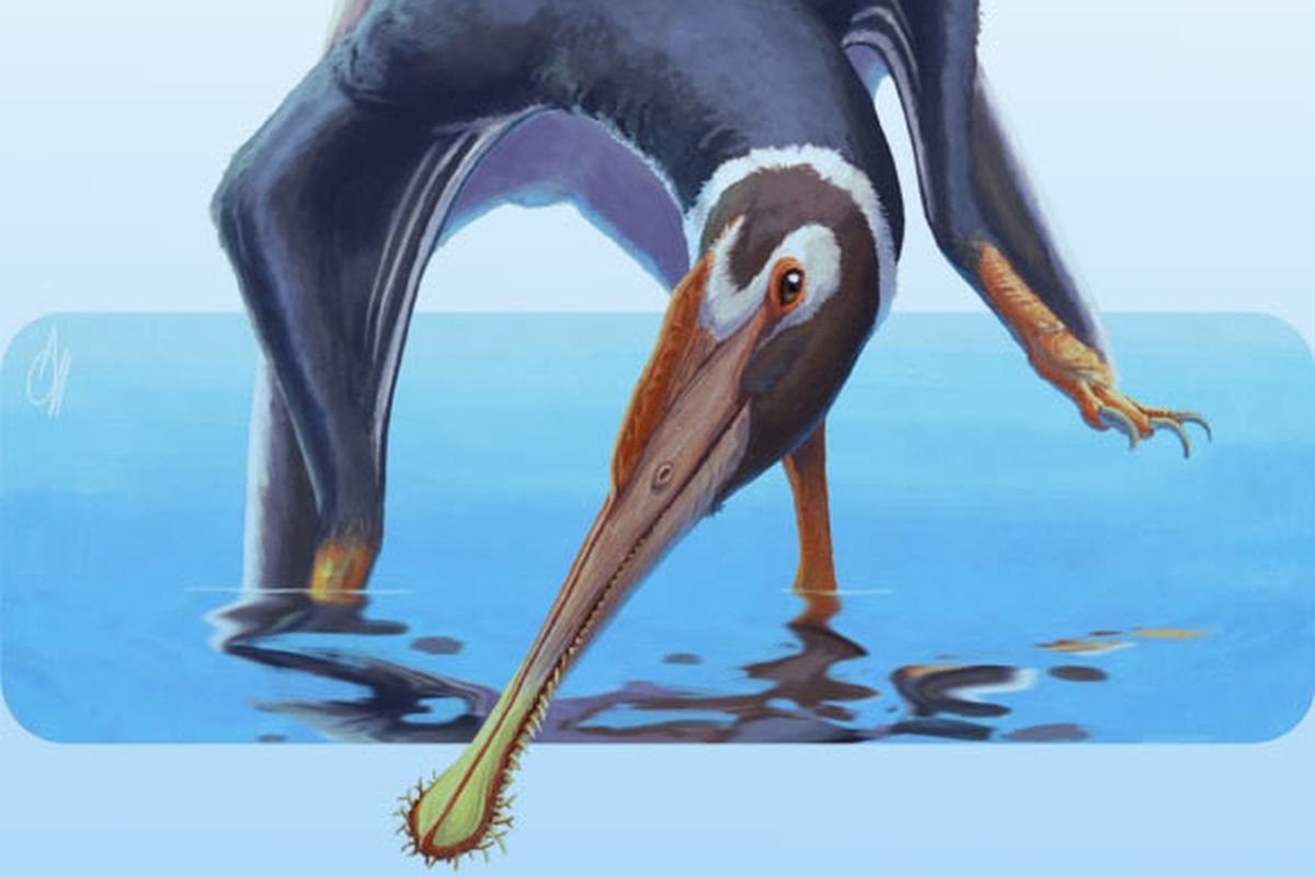 Spathagnathus roeperi: Spesies Pterosaurus Baru dari Jerman yang Hidup 150 Juta Tahun Lalu