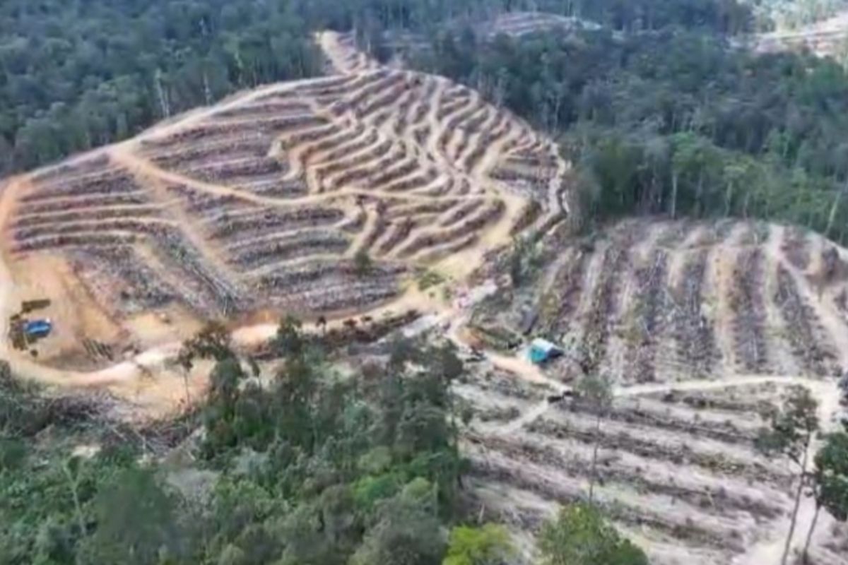 Buku Khotbah tentang Hutan Diluncurkan