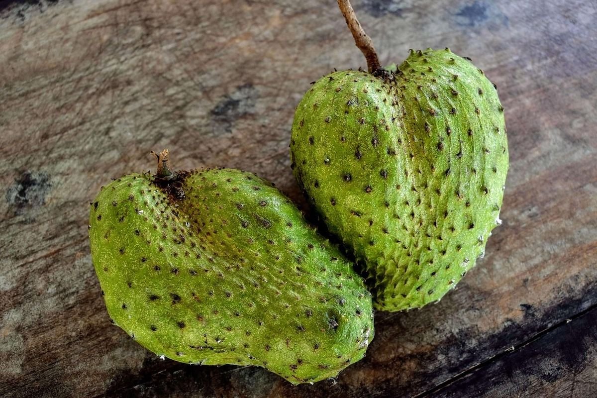 Cara Membuat Minuman Sirsak untuk Asam Urat