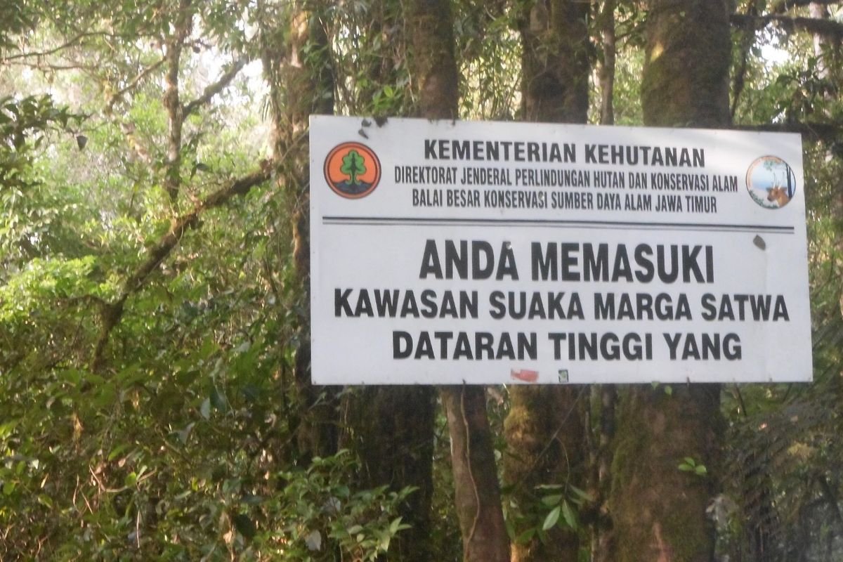 Penutupan Pendakian Gunung Argopuro Diperpanjang
