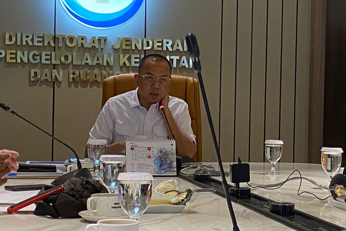 KKP Bantah Isu 4 Pulau di Anambas Dijual di Situs Internasional